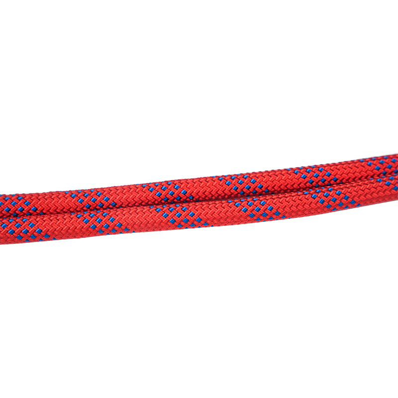 L01 Fall geminae salutis lanyard