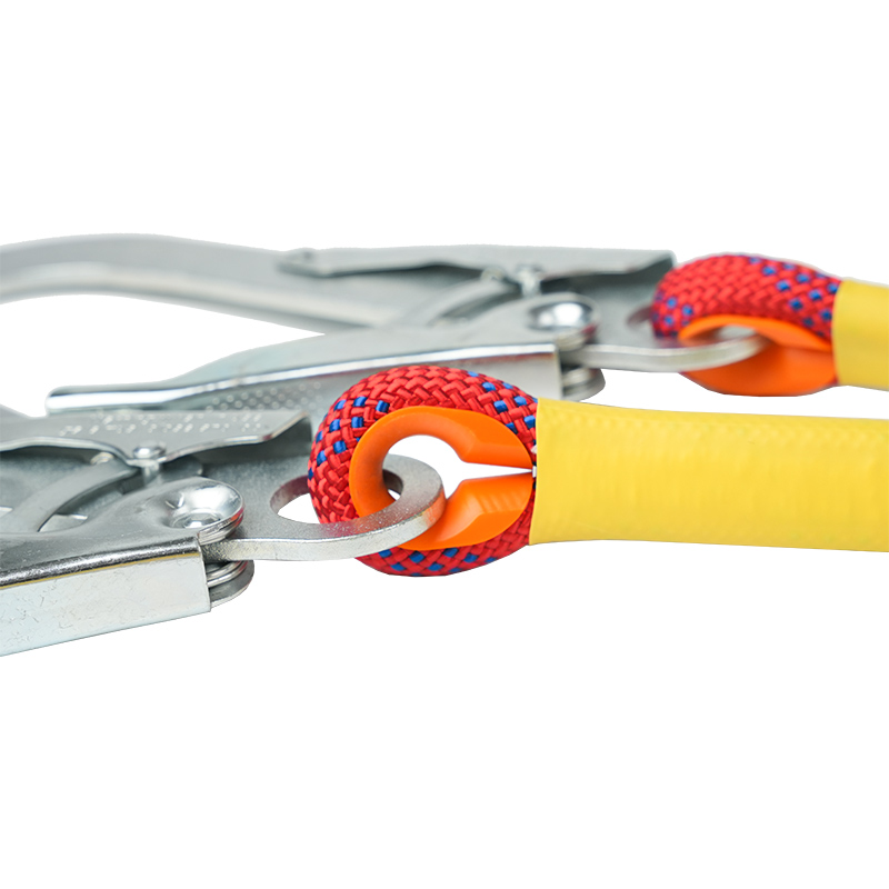 L01 Fall geminae salutis lanyard
