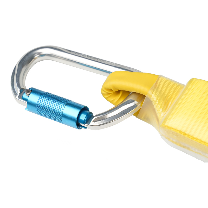 Custom Salutis Lanyard