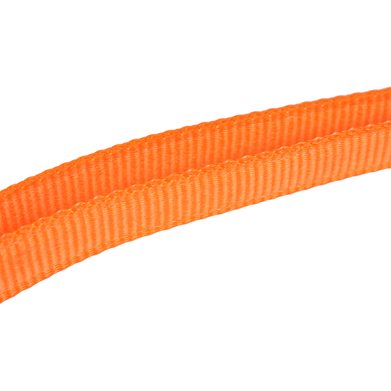 L19 Falla prensa gemina salus lanyard, densa sponda et ANSI hamis
