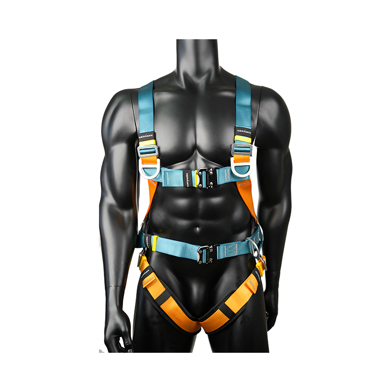 KA02 6 D annuli , fibula velox 2 fibula, lumbus magnus codex plenus corporis constructione tectum salus phaleras